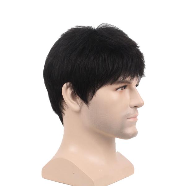 250g-450g Human Hair Wigs for Men 6inch Length Direct from Manufacturers at Best