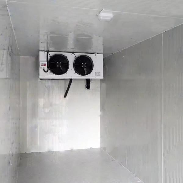 Versatile 6x2.2x2.2m Movable 20ft Reefer Container Cold Storage Room with R134a/R404A Refrigerant