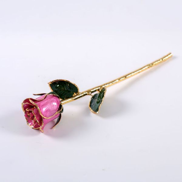 European and American 24k Gold-plated Rose Gold Natural Real Rose Valentine's Day Wedding Anniversary Proposal love Gift