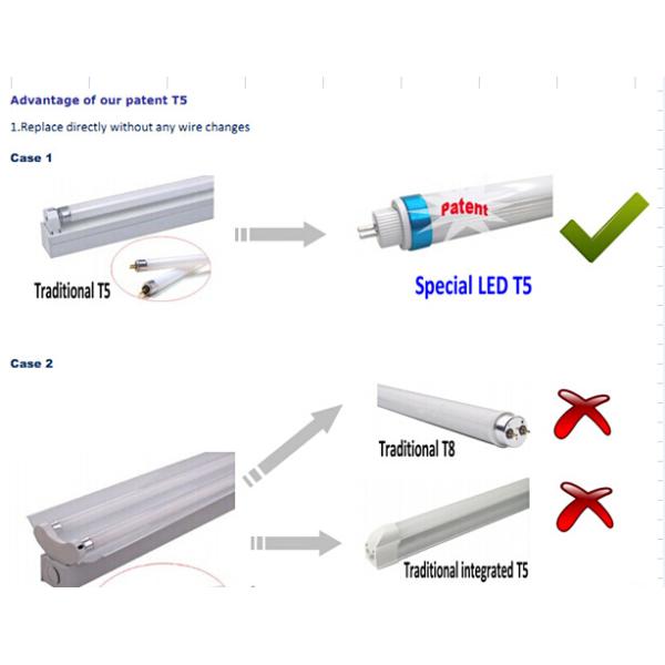 Wholesale T5 LED Tube From Shenzhen With 5 years Warranty
