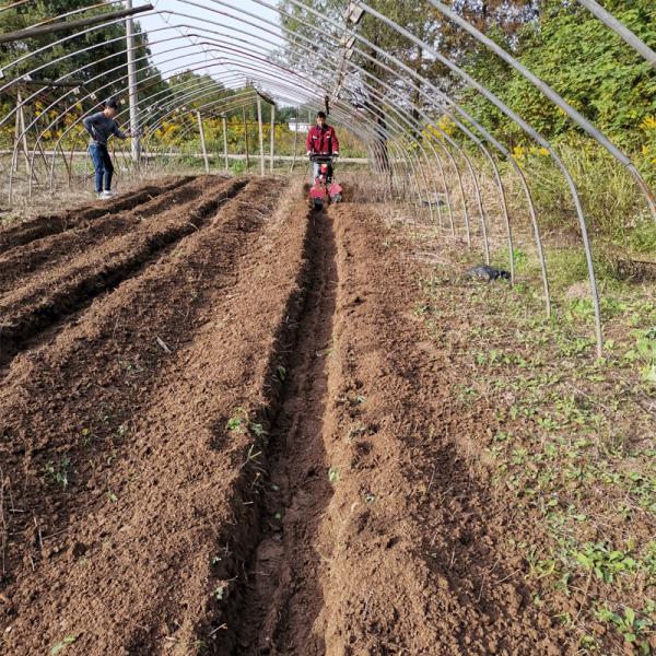 Multi-purpose Orchard Gasoline Power Tiller Engine for Weeding Ditching and Ridging