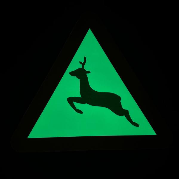 Plastic Photoluminescent Signage For Wall Mounted And Ceiling Mounted Installation