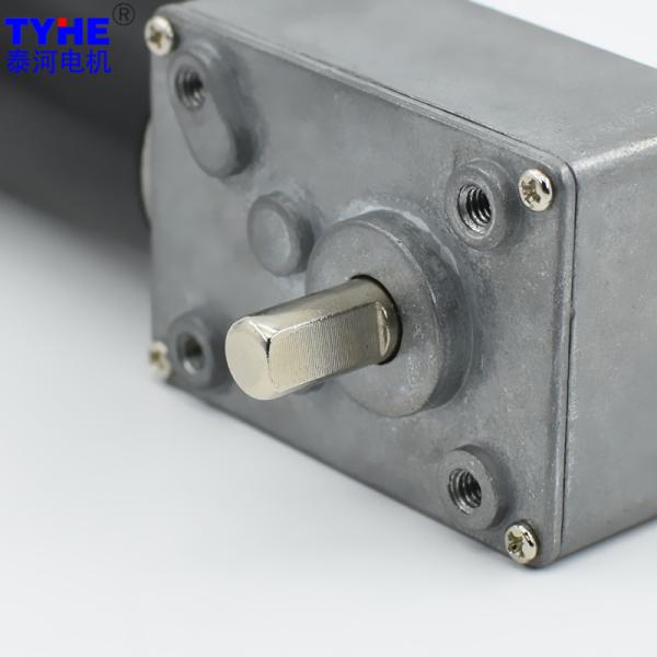 Dual Shaft 24V DC Micro Worm Gear Motor 90 Degree Right Angle