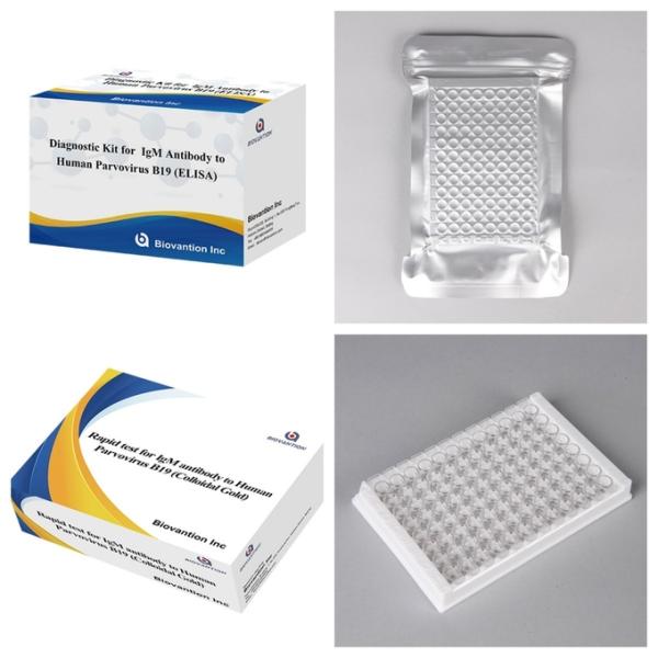 Diagnostic Kit For Human Parvovirus B19 IgM Antibody Elisa Test Kit With 96T