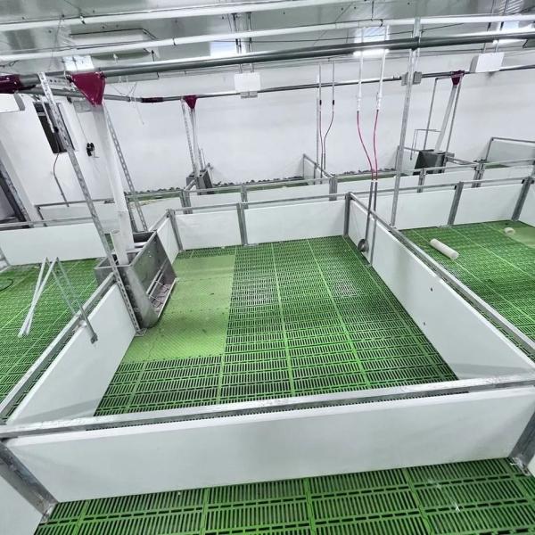 Stainless Steel 304 Livestock Farming Milk Feeder Easy To Clean Low Maintenance