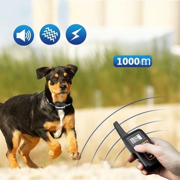 Adjustable Pet Training Products remote Dog Training Collar With GPS Tracking