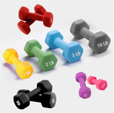 10LB Steel Rubber Fitness Dumbbell Hex Dumbbell Hexagon For Gym