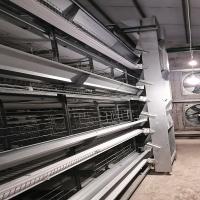 sistema automático da alimentação de aves domésticas de 1.2mm