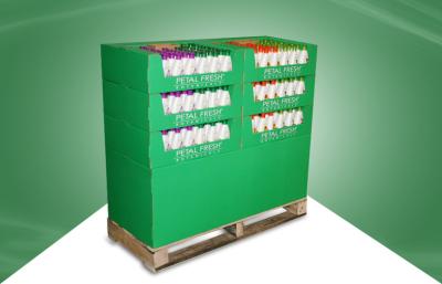 Exposição verde da pálete do cartão para produtos de Skincare com 6 bandejas