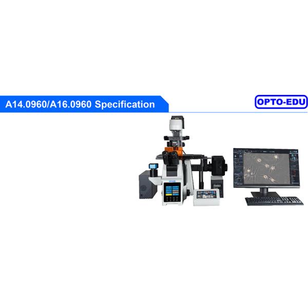 Opto Edu A16.0960 Research Level Inverted Fluorescent Microscope Motorized Nosepiece Condenser