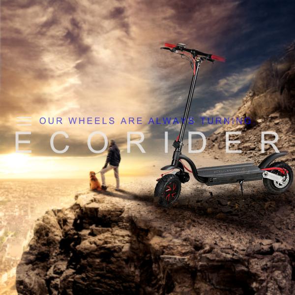 Eco - Rider Smart Kick Folding Motor Scooter 2000W Dual Battery 48V 10 Inch Wheel