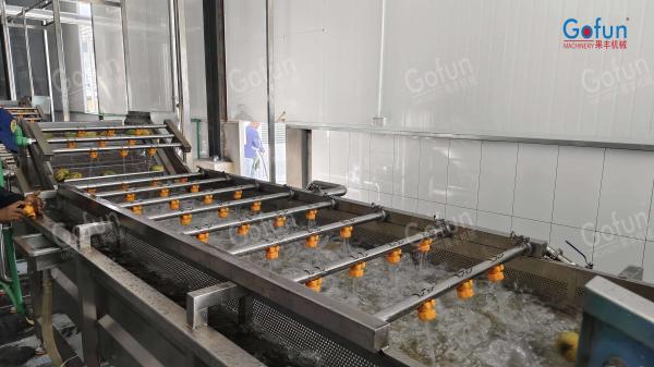 ISO Certified Passion Fruit Processing Machine with CIP Cleaning