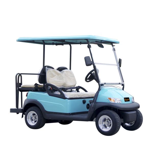 2 Seats+2 Foldable Rear Seat Electric Golf Cart 48V Lithium Battery 30% Climbing Ability