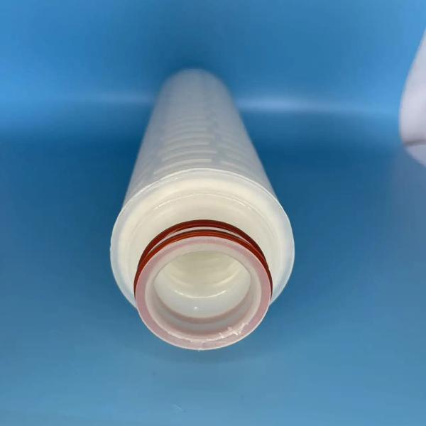 Universal Compatibility Gas Filter Element With Screw In Installation Method Cng Gas Filter