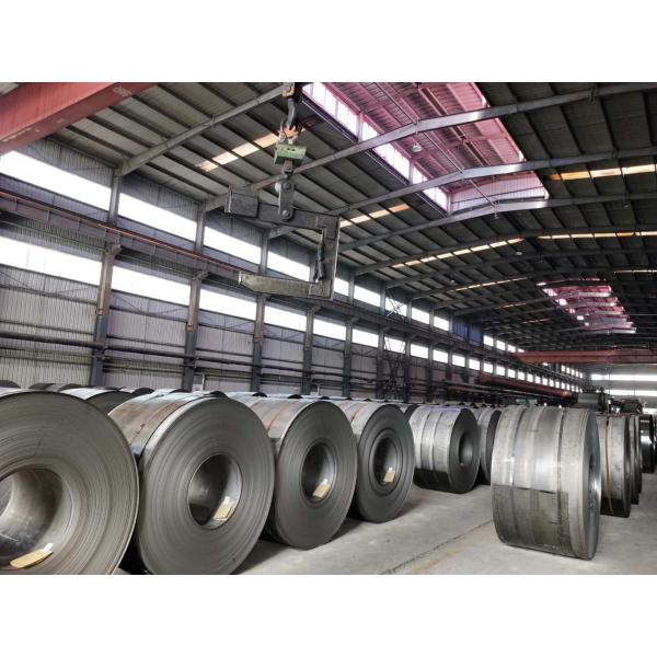 Professional Electro Galvanized Steel Coil Z81-Z120 Coating Hot Dipped Galvanized Coil