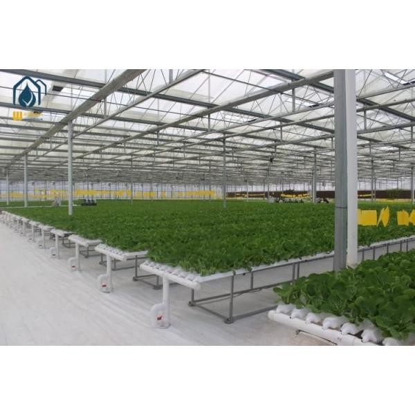 PVC Hydroponic Growing System Customized NFT Gully Systems For Leafy Greens Cultivation