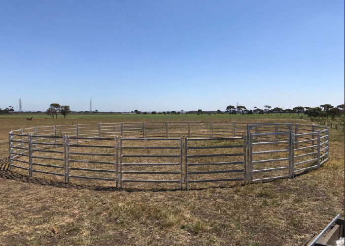 Anti Escape Corrosion Resistant Livestock Fence For Cattle / Sheep / Horseses