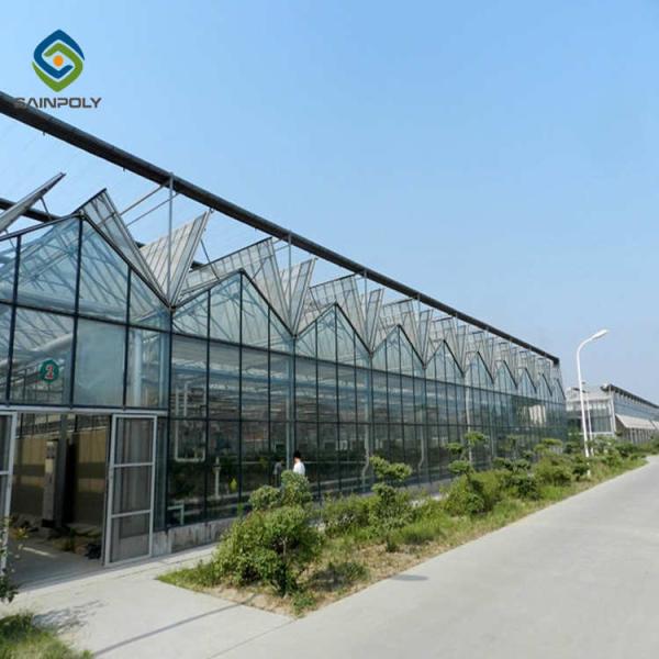 Multi Span Commercial Venlo Greenhouse Structure Tempered Glass Covered