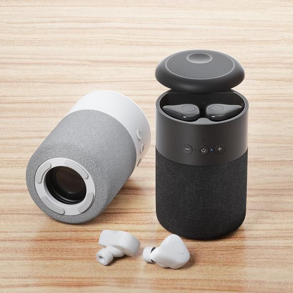 BT 5.1 Wireless Earbuds And Speaker Set 2 In 1 TWS 9d Bass Sound