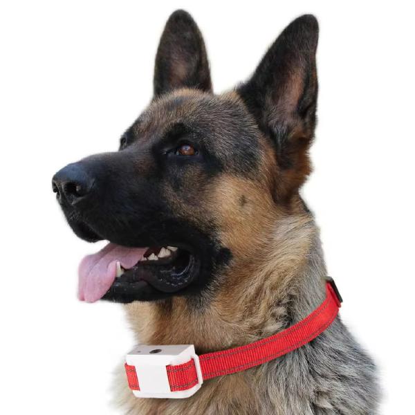 Rechargeable Pet Training Products Auto Anti Bark Spray Collars Customized