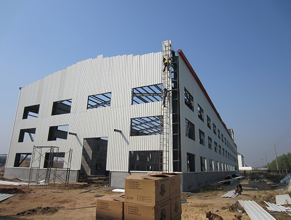Q355 Q235 Steel Frame Building Commercial Economy Metal Buildings
