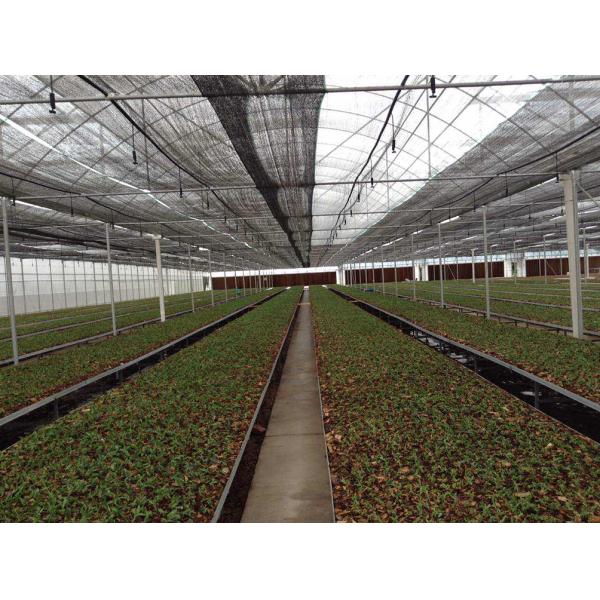 Túnel del invernadero del Multi-palmo alto invernadero de la película de polietileno de 200 micrones