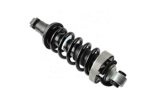 Rear Coil Spring Shock Absorber Assembly For Audi R8 420 512 020 AL 420 512 019 AL