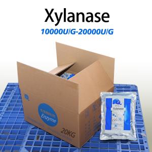 Activité enzymatique personnalisée Xylanase Manufacturer 20000U/g