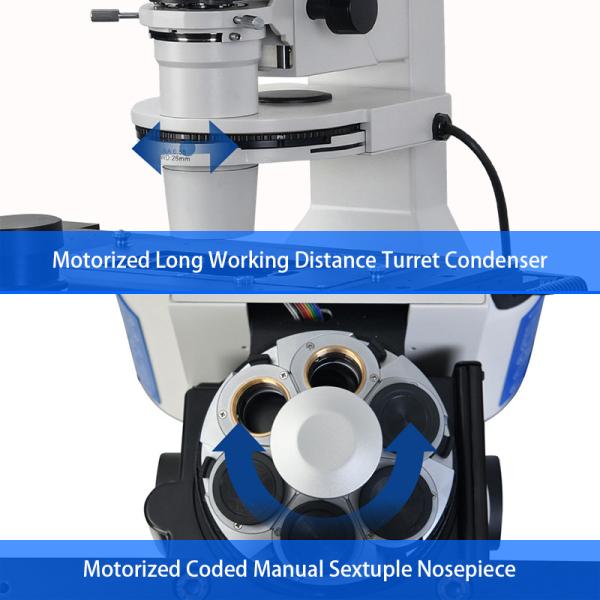 OPTO-EDU A16.1098 completo motorizou FB de Edu Microscope Semi APO/PH Opto/PL/FL/DIC