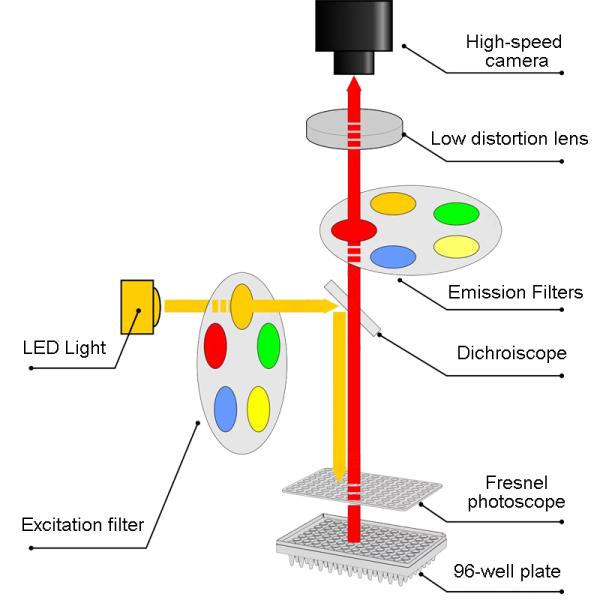Analisador quantitativo de teste rápido 96 Wells do PCR da fluorescência do tempo real 5 canais