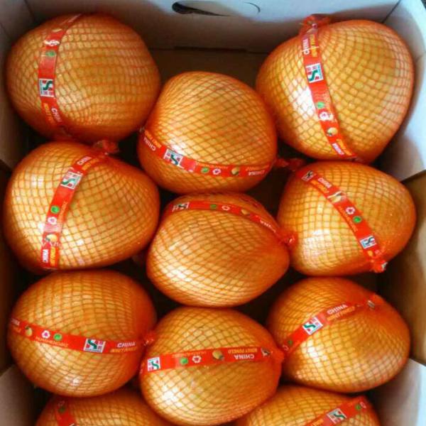 2020 Crop Fresh Honey Pomelo Fast Fresh Food For Lungs / Throat / Blood Circulation