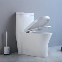10 pouces de rugueux dans la toilette ovale d'une seule pièce S emprisonnent la carte de travail au plancher Siphonic