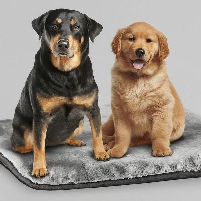 Microplush Polyester Pet Heating Pad Indoor Carbon Fiber Dog House Heating Pad