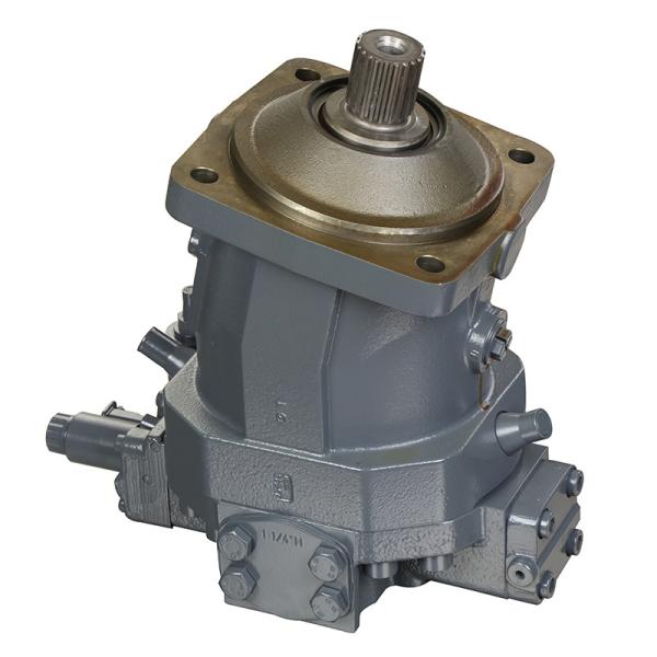 A4vg175 Pump for Rexroth Hydraulics Single Cylinder Design Support Payment in USD