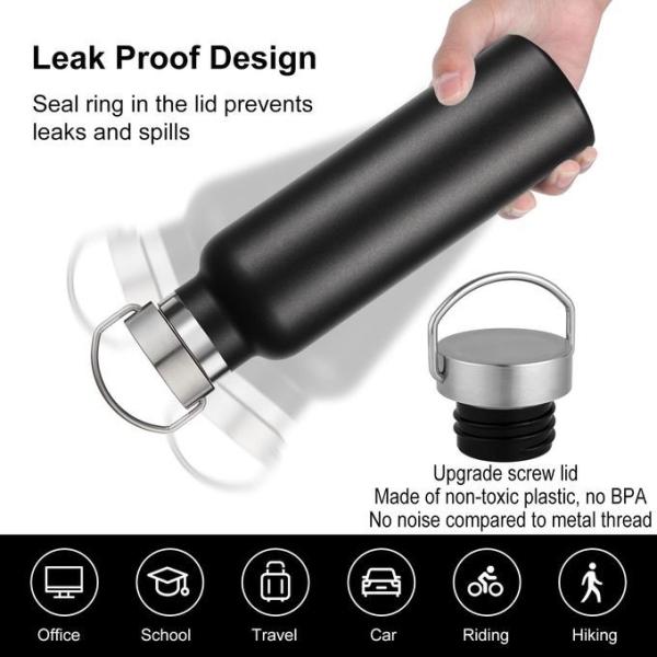 Gradient Stainless Steel Water Bottles 20 Ounce Vacuum Insulated Double Wall Travel Bottle With Leak Proof Lid Of Handle Metal Reusable Standard Mouth Flask Thermoses For School Hikers Gift