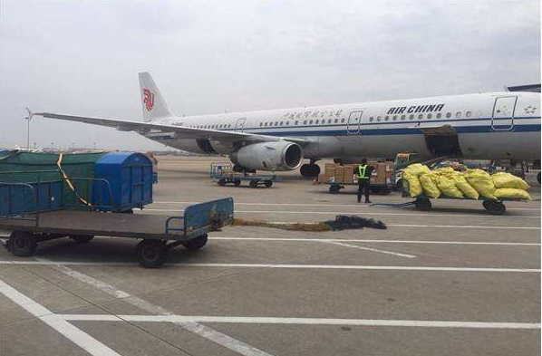 Процесс Шанхай Yiwu препровождения перевозимого самолетами груза океана международный к эквадору Колумбии Аргентине