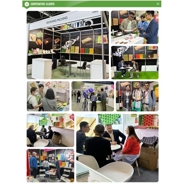 Wholesale 100% Biodegradable Kraft Paper Pulp Fruit Tray Liner Eco-Friendly Protection Packaging for Food Use