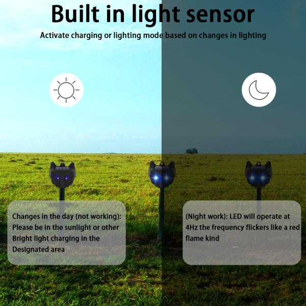 Solar Powered Red LED Lights Cockroach Trap and Raccoon Deterrent for Home Perimeter