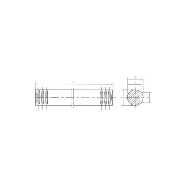 Speed Reducer Bronze Steel C45 Worm Wheel Gear