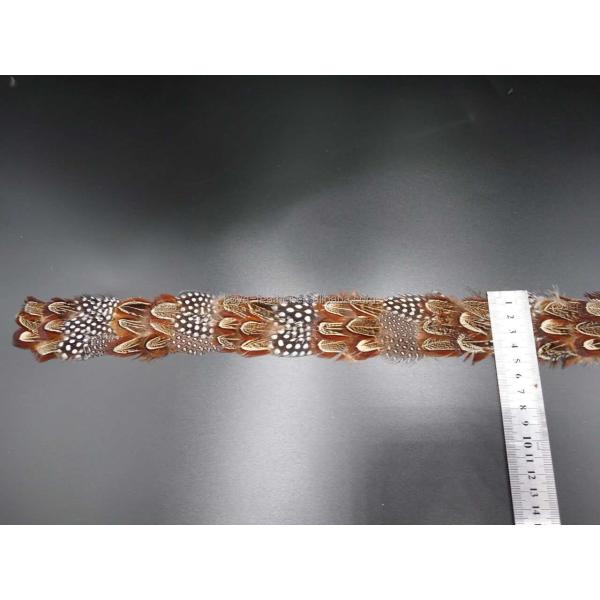 Party Decoration Guinea Fowl Feather Trim 1 Yard/Meter Length Dyed Material