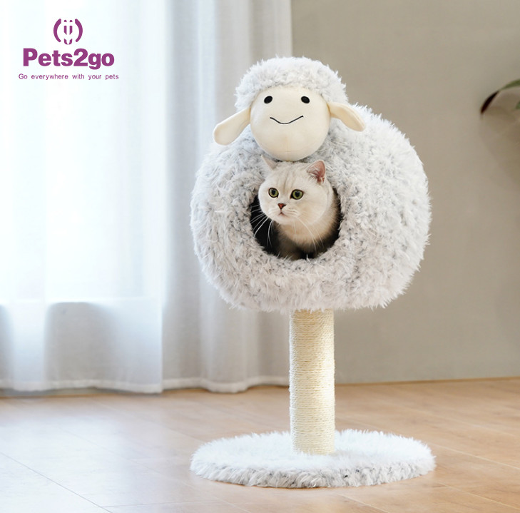 Мягкая Restful кровать любимца круга пены памяти 4.2kg