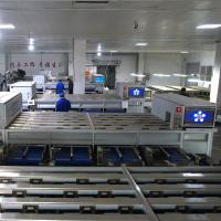 304 SS Material Inshell Chestnut Sorting Machine 8 Lanes
