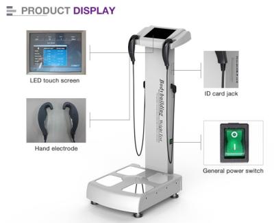 Precise Om33 Scanning Body Fat Percentage Device 220V Body Health