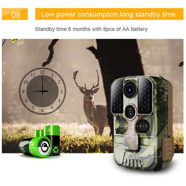 Infrared Ip65 1080p Waterproof HD Night Vision Wildlife Camera 20 Meters Game