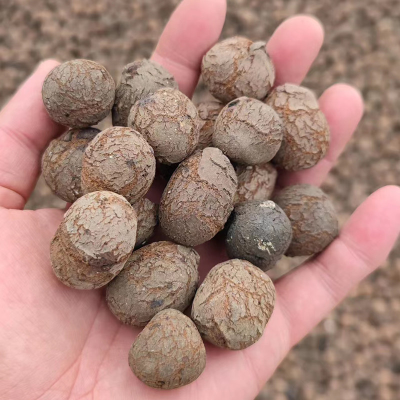 Hydroponics Lightweight Gardening Ceramsite LECA Clay Balls Bulk Density 250-450kg/M3