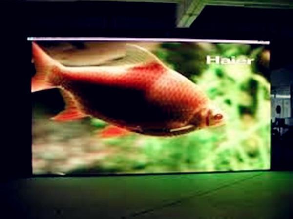 China Full Color HD P6 Área exterior à prova d'água Full Color Led Video Wall SMD 3535 LED Display Panels