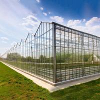 Sistema hidropônico agrícola Multi-Span Venlo estufa de vidro personalizada