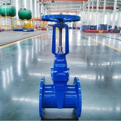 DIN3352 F4 Elastic Seat Rising Stem Valve DN100 Gate Valve Cast Iron