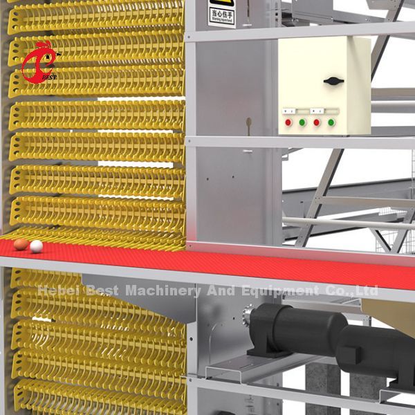 Battery Automatic H Type Poultry Cage System Hot Sale 240Birds Rose