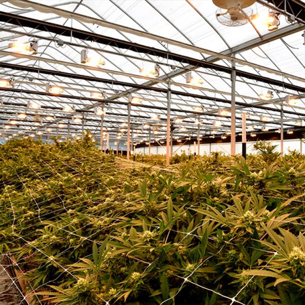 Светлый Dep автоматизировал материал занавеса черноты парника светомаскировки для овоща